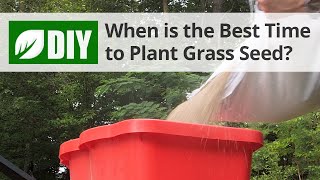 What is the Best Time to Plant Grass Seed  Fall Lawn Tips  DoMyOwncom [upl. by Kinny563]