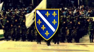 Nedžad Esadović  Zastava Bosanska  patriotic Bosnian song [upl. by Maggio657]