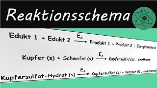 Reaktionsschema aufstellen und lesen [upl. by Flosi]