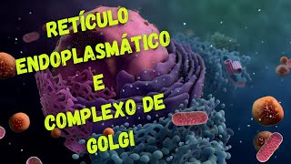 Retículo endoplasmático e complexo de Golgi  Fisiologia Humana [upl. by Sualkcin663]