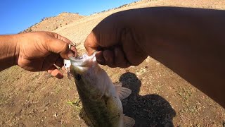 Bass Hunt Millerton Lake [upl. by Ahsitil282]