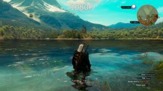 AMD Virtual Super Resolution VSR 1080P vs 4K Test  The Witcher 3 [upl. by Smallman]