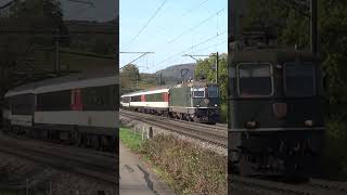 Re 44 🟢 SBB  ExtraTrain Basel  Olten 🇨🇭 train swissrailway [upl. by Einniw937]