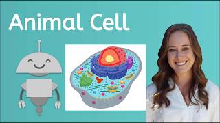 What are the Parts of an Animal Cell [upl. by Meggie]