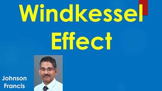 Windkessel Effect [upl. by Aeet]