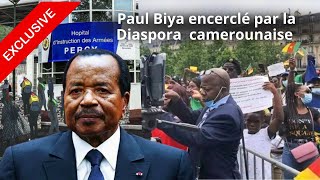 Exclusif  La diaspora Camerounaise encercle PAUL BIYA Mourant [upl. by Semela]