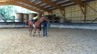 Comment débourrer un cheval Réponse à lécurie Prevost Baratte [upl. by Cathy]