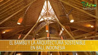 El Bambu y la Arquitectura Sostenible en Bali Indonesia  TvAgro por Juan Gonzalo Angel Restrepo [upl. by Edualc]