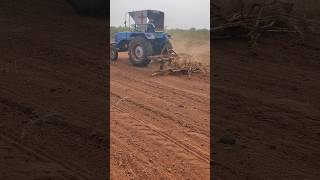 Tobacco form plants removing pogaku panta tisivesinam [upl. by Servais]