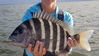 Sheepshead Fishing Tips Best Sheepshead Lures Rigs amp Mistakes [upl. by Anallise]