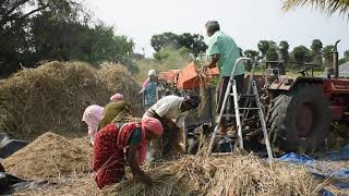 Small Scale Paddy Thresher  RuTAG IITM [upl. by Einned]