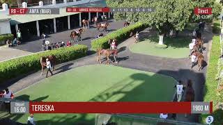 Live Hippodrome « CASABLANCA »  Courses du « 01112024 » [upl. by Hyman]