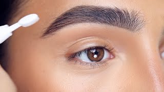 HOW TO FLUFFY BROWS  EVERYDAY MAKEUP  Hindash [upl. by Oirottiv]