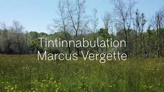 Tintinnabulation  Marcus Vergette [upl. by Anileba453]