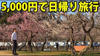 【予算5000円】ぶらり青春18きっぷの旅 水戸の偕楽園 梅まつり編 [upl. by Ygiaf]