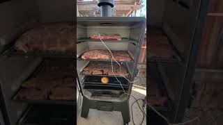 New Louisiana Grills LGV4BL First use [upl. by Amargo]