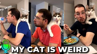 Weird Things Our Cats Do [upl. by Bough]