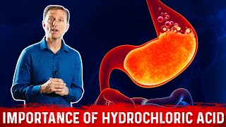 The Importance of Hydrochloric acid HCL in the Stomach – Dr Berg [upl. by Adilen641]