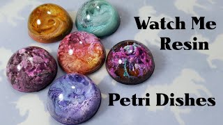 Watch Me Resin 11 Petri Dish Resin Charms [upl. by Nalid]