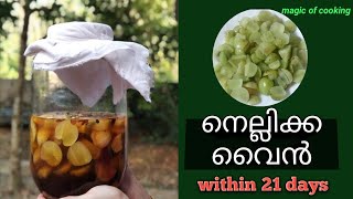 Homemade നെല്ലിക്ക വൈൻ gooseberry wine  ഇനി എളുപ്പത്തിൽ 21 ദിവസം കൊണ്ട് [upl. by Livesay]