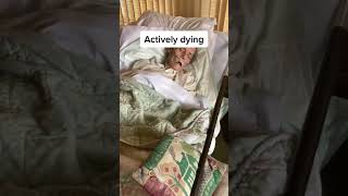 Video of Actively dying [upl. by Dinesh180]