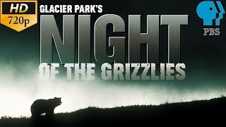 Glacier Parks Night of the Grizzlies  PBS Documentary ⁷²⁰ᵖ [upl. by Mikel]