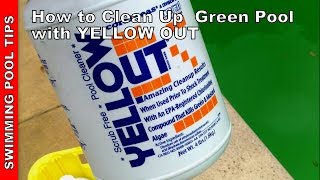 How to Clean a Green Pool Updated Version  Using YELLOW OUT [upl. by Aroon]