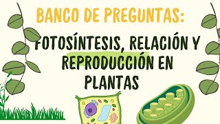 Práctica de biología Fotosíntesis relación y reproducción en plantas [upl. by Aicilet]