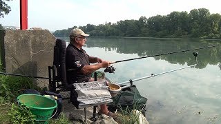 Pêche feeder au gros sur le Rhône [upl. by Nawrocki]