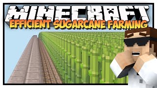 The Most Efficient Way To Farm Sugar Cane Collection Hypixel Skyblock [upl. by Laehcor63]