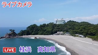 ライブカメラ 桂浜 高知県 [upl. by Kowatch]