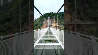 Would You Dare The World’s Most Terrifying Glass Skywalk Awaits You 🏞️ You Won’t Believe This [upl. by Davita]