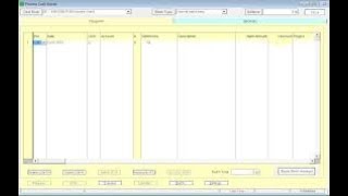 Processing Opening Balances and Viewing Trial Balance on Sage Pastel Accounting [upl. by Motch]