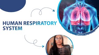 Understanding the Human Respiratory System Function Facts and Common Diseases [upl. by Notsae]