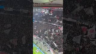 Nordwestkurve Eintracht Frankfurt vs Werder Bremen 23112024 [upl. by Neelik]