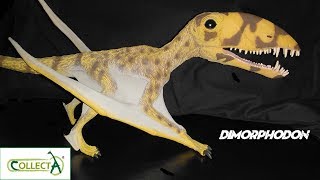 Collecta quotDeluxequot Dimorphodon Review [upl. by Eniar724]