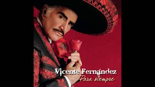 Vicente Fernández  Marioneta [upl. by Fenelia]