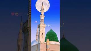 Huzur ne wada farmaya hai status islamicshorts auhshorts [upl. by Mallorie]