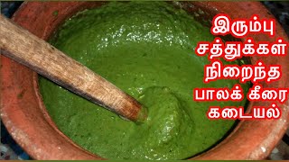 சத்தான பாலக் கீரை கடையல்  PALAK KEERAI MACIYAL IN TAMILPALAK KEERAI KADAYALPALAK KEERAI RECIPE [upl. by Goraud]