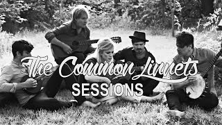 The Common Linnets  Sessions [upl. by Pelag]