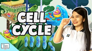 Cell Cycle  Biology [upl. by Garcon118]