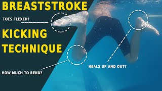 Learn Breaststroke Kick Technique  Swim Faster amp Efficiently [upl. by Cired]