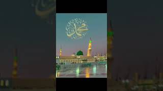 Hasbi rabbi jallah pakistan beautiful foryou love viralvideo unfrezzmyaccount duet islam [upl. by Aramanta]