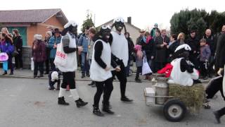 Faschingsumzug in Hofkirchen am 7 Februar 2016 [upl. by Nidak]