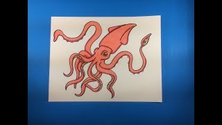 How to Draw a Squid [upl. by Ainitsirk]