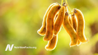 Treating Parkinson’s Disease with Velvet Beans Mucuna pruriens [upl. by Yenahteb]