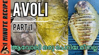 ആവോലി ഒരു ചെറിയ മീനല്ല  PARTI  AVOLI GRILL  1 minute recipe video from kondottikkaran [upl. by Neik177]