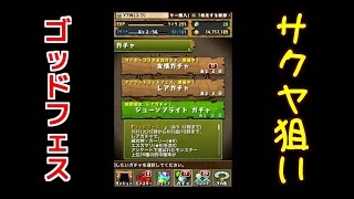 【パズドラ】サクヤ狙いでアンケートゴッドフェスをガチャる！！ [upl. by Ggerk]