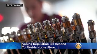 Vaping Regulation Bill Headed To Florida House Floor [upl. by Tim376]