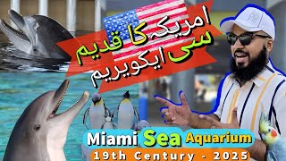 Miami Seaquarium Full Tour 2025  Seaquarium Miami Dolphin Show  Things to do in Miami Florida USA [upl. by Ysset]